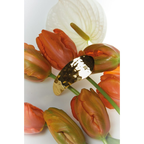 Balmain lasna sponka Barrette Printemps Leaf Balmain lasna sponka Barrette Printemps Leaf