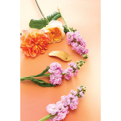 Balmain lasna sponka Barrette Printemps Leaf Balmain lasna sponka Barrette Printemps Leaf